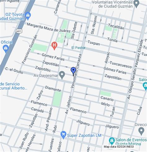 coppel cd guzman|Google Maps